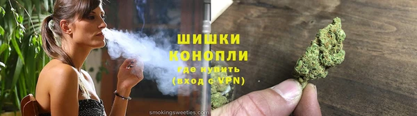 сатива Армянск