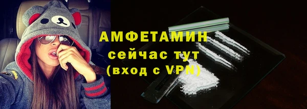 сатива Армянск