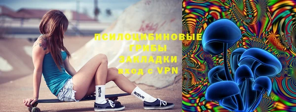 сатива Армянск