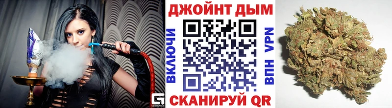 Бошки Шишки планчик  Грязовец 